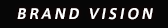 BRAND VISION